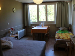 Studio cosy 2/3 pers, 200m pistes, wifi, parking, animaux ok - FR-1-787-49